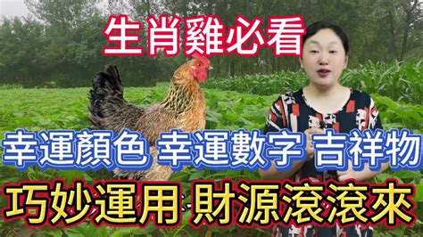 屬雞今年幸運色|屬雞必看：幸運色改變你命運